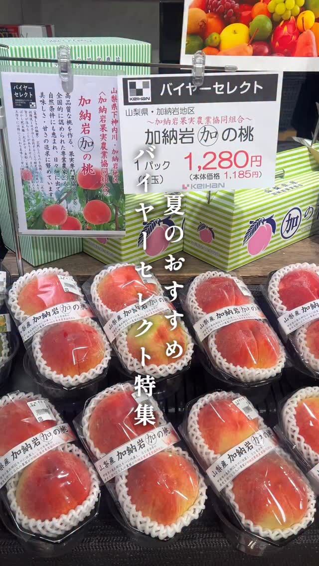 ＼バイヤーセレクト 夏のおすすめ特集🌻／

この夏、バイヤーが本気で選びました✨
美味しさとこだわりが詰まった毎日の食が
楽しくなる商品をご紹介！

期間限定アイテムや、暑さを吹き飛ばすひんやり商品もラインナップ！
京阪百貨店が自信を持ってお届けする
“夏のええもん”、ぜひチェックしてくださいね😊

#京阪百貨店 #バイヤーセレクト #夏のおすすめ
#帰省みやげ #季節限定 #夏グルメ #加納岩の桃
#唐船峡そうめん流しつゆ #有機蕎麦十割 #ぎゅっと赤しそ
#田舎のたれ #白根の枝豆 #やさしいコーンフレーク